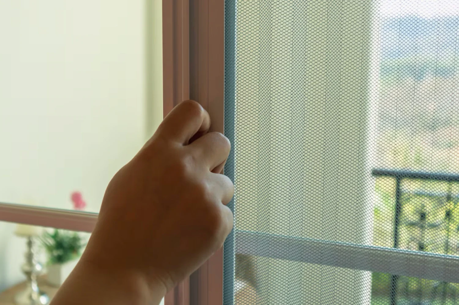 Mosquiteras en Las Palmas